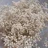 Decorative Flowers Dried Babys Breath Bouquet Ivory White Natural Gypsophila Branches For Home Decor Wedding Table Vase