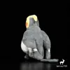 Dockor Super Soft Plush Toy Grey Cockatoo Doll Real Life Stuffed Dolls Toys Children Birthday Presents L230522 L230522