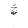 100Pcs Artificial Eucalyptus Leaves Silk Fake Leaf Decor for Home Wall Wedding Bouquet Background Flower Arrangement Party Event Decor Money Leaf