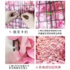 Decorative Flowers Temi Red Rose Peony Flower Wall Pography Background Window Decoration Row