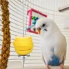 Servis uppsättningar 2 datorer rostfritt stål fruktgaffel Budgie Spett Toys Bird Treat Sticks Birds Foraging Set