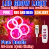 Grow Lights Intérieur Lumière Spectre Complet LED Anneau D'ange Phyto Lampe USB Tente De Croissance Bombilla 5V Hydroponique Ampoule Plantes Graines LamparaGrow