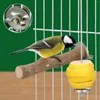 Servis uppsättningar 2 datorer rostfritt stål fruktgaffel Budgie Spett Toys Bird Treat Sticks Birds Foraging Set