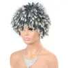 Synthetic Wigs African Hair Wig Short Small Screw Curly Fluffy Explosive Head