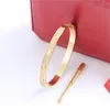 Damen-Herren-Armband mit Liebesdiamanten, Stahlkabel-Armband, Titan-Gold-Silber, rosévergoldet, südamerikanischer 18-karätiger Goldschmuck, Designer-Unisex-Geschenk