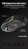 Möss Professional Wireless 2,4 g USB Gamer Mouse 4000DPI Ergonomisk design RGB Gaming Mouse för PC Laptop Lol Gamer