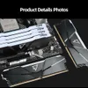 CPUs Netac Ddr4 Rgb Ram Memory 8gb 16gb X2 Dual Channel 3200mhz Xmp 2.0 Heat Sink Dimm Ddr4 Memoria for Intel Amd Desktop