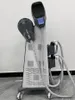 뜨거운 새로운 DLS-EMSlim 근육 자극기 RF 바디 슬리밍 EMSZERO 14 Tesla 5000W 미용 장비 EMS 조각 기계 골반 패드 사용 가능