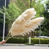 Decorative Flowers 80CM Natural Pampas Grass Large Real Dried Reed Bouquet Decor For Home Party Wedding Flower Arrangement Decoration