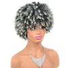 Synthetic Wigs African Hair Wig Short Small Screw Curly Fluffy Explosive Head