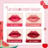Brillant à lèvres Mini 4 couleurs liquide étanche antiadhésif 24 heures longue durée velours mat rouge à lèvres cosmétique maquillage TSLM1