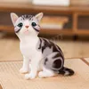 25cm Kawaii Simülasyon Pet Kedi Peluş Oyuncaklar Karikatür İngilizce Kısa Kedi Calico Kedi Peluş Bebekler Doldurulmuş Çocuk Hediyeleri