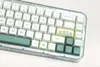 Accessoires GMK Zoo und Botanical Garden Keycaps 144 Tasten PBT Dyesublimation XDA -Profil -Taste für mechanische Tastatur festgelegt