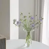 Vasi Rotondo E Trasparente Vaso Per Piante Idroponiche Fiore Usato Per Le Case Decorazione Domestica Tavolo In Vetro Stile Nordico Moda