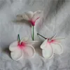 装飾的な花の花輪20プルメリアケーキトッパー本物のタッチフラワーブルームズウェディングデコレーションブーケセンターピース人工