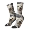 Soas masculinas Novidade masculina Padrão de impressão Westie Vestido unissex Blusbale quente 3D Cripulação West Highland White Terrier