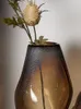 Vases Creativity Lrregular Tawny Transparent Glass Vase Decoration Light Luxury High-grade Model Room Table Living Flower Arrangement