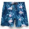 夏の水泳短いVilebrequin Bermuda Beach ClothingUttles最新のカジュアルショーツファッションスタイル高品質M-2XL 2 Z8bz