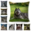 Kudde /dekorativ söt husdjur Dog Animal Case Decor Siberian Husky Cover för soffa hem Chidren Room Polyester Pillowcase 45 45C