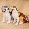 25cm Kawaii Simülasyon Pet Kedi Peluş Oyuncaklar Karikatür İngilizce Kısa Kedi Calico Kedi Peluş Bebekler Doldurulmuş Çocuk Hediyeleri