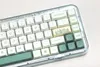 Accessoires GMK Zoo und Botanical Garden Keycaps 144 Tasten PBT Dyesublimation XDA -Profil -Taste für mechanische Tastatur festgelegt