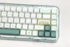 Accessoires GMK Zoo und Botanical Garden Keycaps 144 Tasten PBT Dyesublimation XDA -Profil -Taste für mechanische Tastatur festgelegt