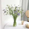 Vasen Runde und transparente Hydrokultur-Pflanzenvase, gebrauchte Blume für Häuser, Heimdekoration, Glastisch, nordischer Stil, Mode