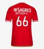 23 24 24 fanów Wersja gracza Benfica piłka nożna Seferovic Waldschmidt Pizzi Rafa G.Ramos 2023 2024 Home Away Men Kit Kit Football koszulki Otamendi Kokcu di Maria