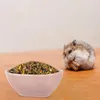 Ensembles de vaisselle 2 pièces grand bol en céramique multifonctionnel alimentation pour animaux de compagnie Unique dessin animé fraise pour Hamster