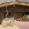 Ensembles de vaisselle 2 pièces grand bol en céramique multifonctionnel alimentation pour animaux de compagnie Unique dessin animé fraise pour Hamster