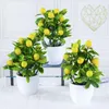 Fleurs décoratives 19 cm 24 cm Fruits artificiels simulés bonsaï décoration de la maison plante en pot salon ornement faux arbre plantes