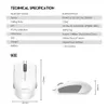 Möss Fantech W190 2.4 GHz USB + Bluetooth Dual Mode Wireless Mouse Mute Lightweight Ergonomic Mice for PC Laptop Office