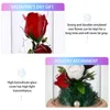 Decoratieve bloemen Rose Lantaarn Valentijnsfeer Lamp Romantische nacht dating Artificial Day Light