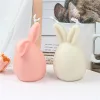 Świece Wesołych dekoracji wielkanocnych 3D Bunnies Świeca na świeca silikonowa silikonowa forma Sile Rabbit Mod Making Animal Tort