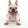 Abbigliamento per cani Collana Collare Cucciolo Moda Pitbull Catena d'oro Gioielli in metallo freddo e accessori per cani Gatti