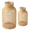 Vases 2 Pcs Straw Glass Flower Vase Japanese Pot In The Nordic Contracted Creative Basket To Water Plants L & S