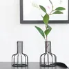 Vazen geometrisch glas ijzer gedroogde bloem vaas pot huis woonkamer tabletops decoratie zwart goud
