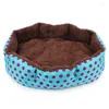 Katbedden hondenbed voor klein huisdier schattig hondenhuis stip bedrukte mat cathouse leveringen honden bank