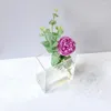 Vases Sturdy Construction Useful Structural Stable Hydroponic Glass Vase Anti-Deform Flower Fixing Design Home Supply