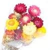 Decoratieve bloemen 10 stks natuurlijke chrysanthemum boeket madeliefje zonnebloem gedroogde plant bloem moeder dag cadeau woonkamer dekoratie huis