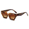 Rahmen Neue Polygonale personalisierte Trend-Sonnenbrille mit dickem Rahmen und Diamant-Ins-Sonnenschutzbrille