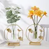 Vases Nordic Glass Vase Hydroponic Plant Holder Metal Line Flowers Ornament Flower Tabletop Coffee Shop Office Home Decoration