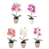 Dekoracyjne kwiaty 4 głowy sztuczne fałszywe błotnik Orchid Flower Flower Life for House Garden Wedding Decor