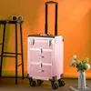 Large-capacity trolley makeup luggage box cosmetic suitcase artist special beauty tattoo embroidery manicure tool box