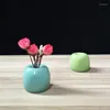 Vases Céramique Bijoux Pomme Bouteille Vase Artisanat Ameublement En Gros Vente Spéciale Simple