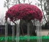 장식용 꽃 인공 빅 체리 꽃 46 인치 /120cm 길이 부겐 빌레 레아 스페 틸리 스는 결혼식 정원에 사용될 수 있습니다.