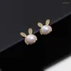 Boucles d'oreilles à tige Exquis Pearl Fashion Temperament Small Simple Elegant Ladies Jewelry de la Corée du Sud