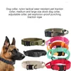 Hundhalsar Nylon Pet Collar Universal Justerbar 4 Säsong Metall Buck Byte av stötbeständiga PETS PETS TRÄNING CHOKER