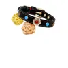 Hundehalsband-Zubehör, Haustierbedarf, goldene Blumenschnalle, modische Haustierhalsbänder, VIP-Schnauzer-Halsband ohne Traktion, D2305291S