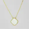 Lyxvarumärke Double Side Clover Pendant Halsband 18K Guldpläterad rostfritt stål smycken för kvinnors gåva